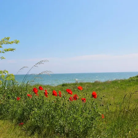 아파트 Rex Rugia Fewo15-5 Mit Schwimmbad Und Saunanutzung Im Ahoi-erlebnisbad Sellin *